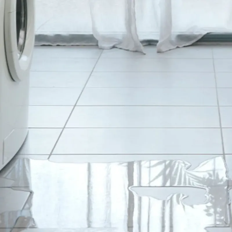 Appliance Leak Cleanup in Gold Bar, WA