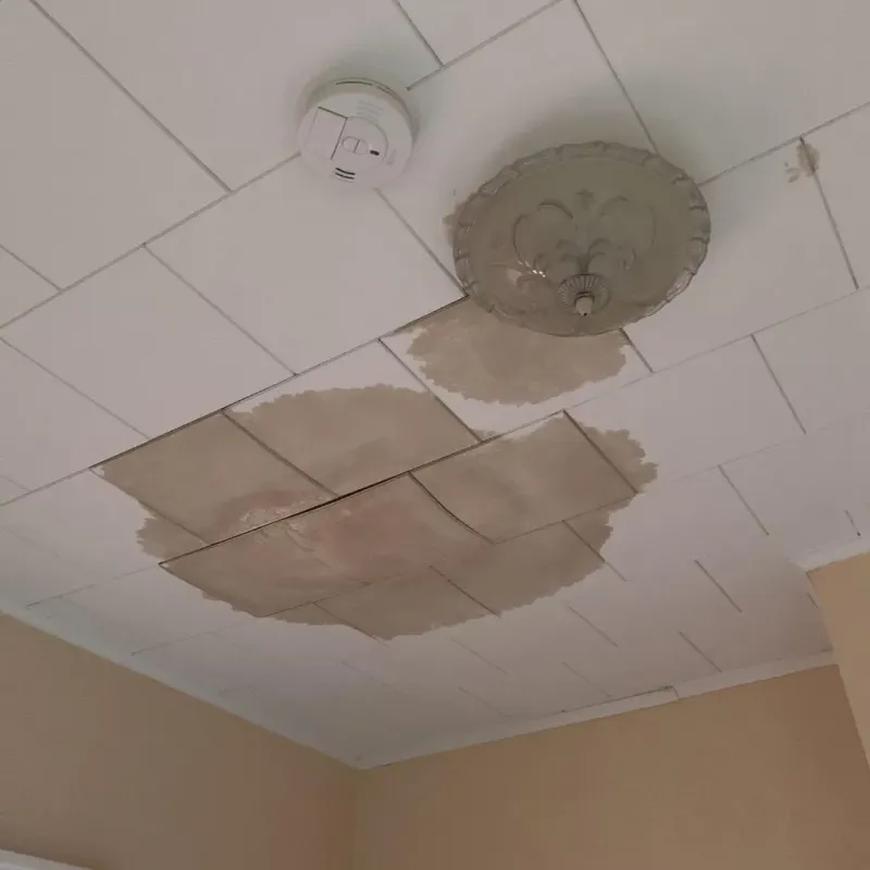 Ceiling Water Damage Repair in Gold Bar, WA
