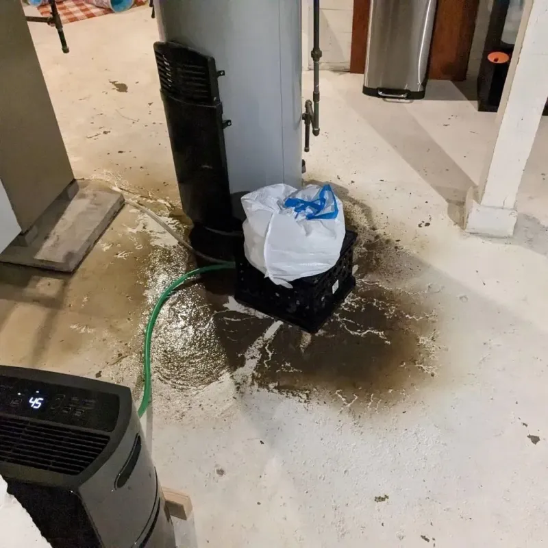Sewage Backup Cleanup Service in Gold Bar, WA